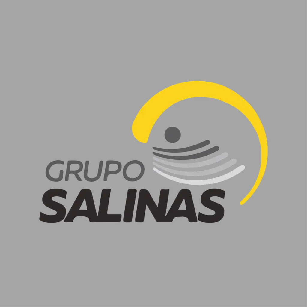 Gpo Salinas