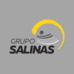 Gpo Salinas